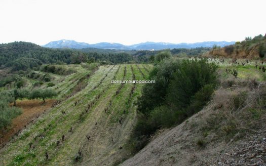 Finca rústica en Ascó