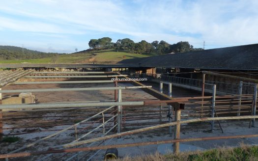 Finca rústica en Bescanó