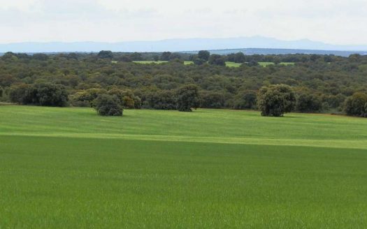 FINCA EN VENTA 760 HAS. LABOR-CAZA MENOR EN ALBACETE
