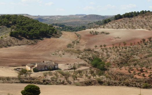 FINCA EN VENTA 250 HAS. LABOR-OLIVAR-MONTE EN JAEN