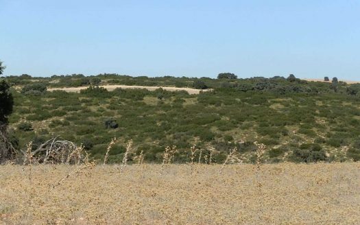 Finca en venta inmancha labor monte caza menor