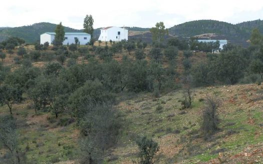 Finca en venta ganadera caza