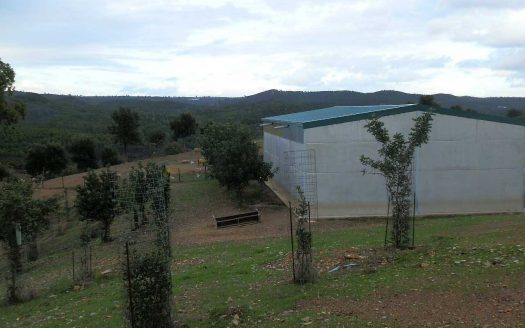 Finca en venta ganadera caza