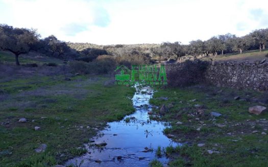 Finca dehesa con encinas y alcornoques en Huelva