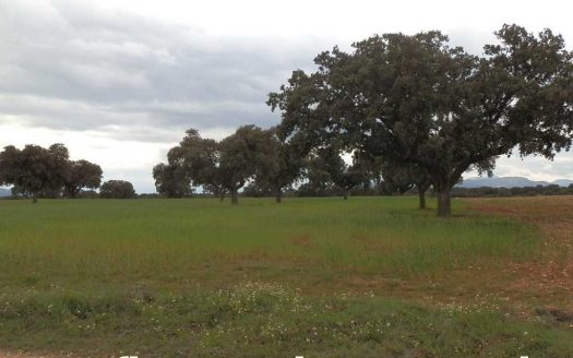 Finca en venta labor pastos en Toledo