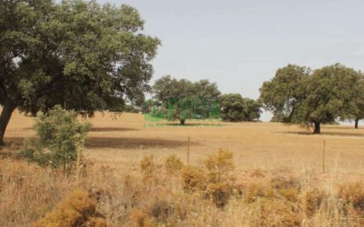 FINCA DEHESA. REF.150