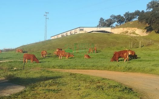 FINCA DEHESA. REF.254