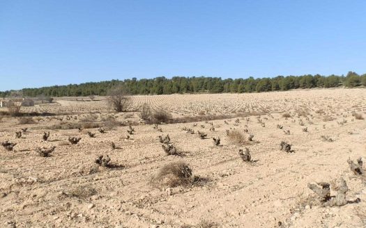 finca en venta 9 has. viña en vaso Caserío en Yecla (Murcia