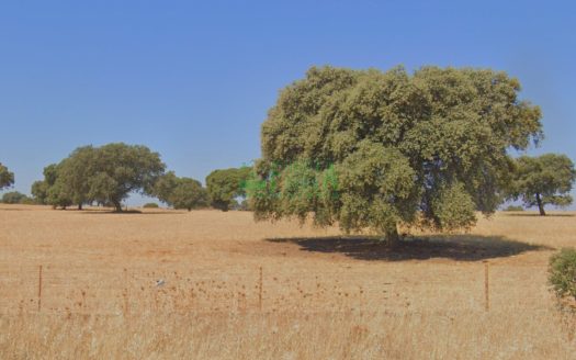 FINCA DEHESA. REF.150