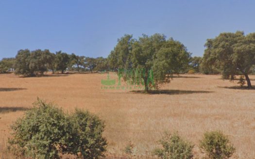 FINCA DEHESA. REF.150