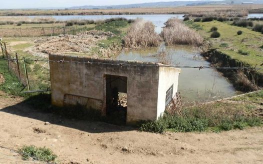 fincas inmancha 97 has. labor riego secano pastos en Toledo