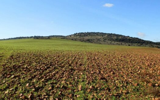 fincas en venta inmancha 118 has. labor riego en Ciudad Real