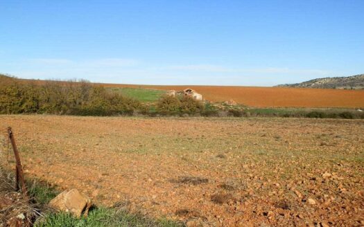 fincas en venta inmancha 118 has. labor riego en Ciudad Real