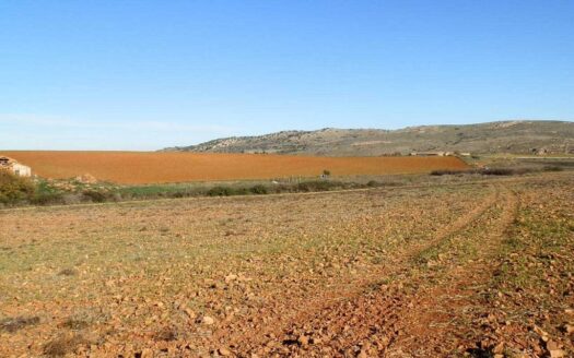 fincas en venta inmancha 118 has. labor riego en Ciudad Real
