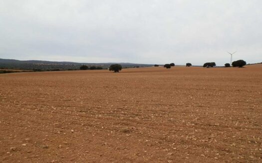 finca en venta 388 has. labor caza menor en Villarrobledo