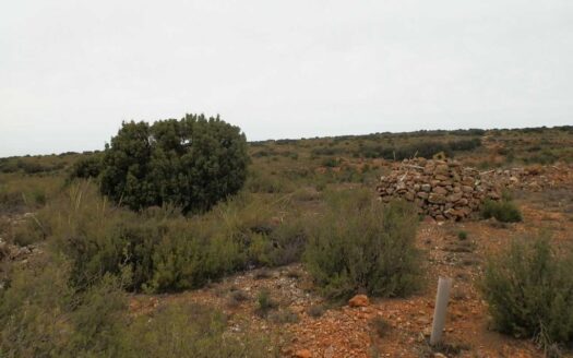 finca en venta 388 has. labor caza menor en Villarrobledo