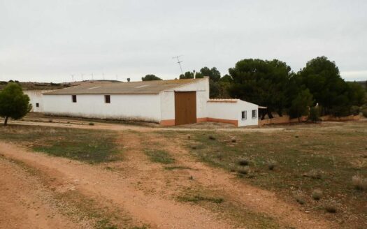 finca en venta 388 has. labor caza menor en Villarrobledo