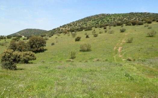 finca en venta 30 has. recreo ganadera en Ciudad Real