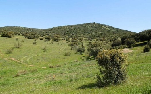 finca en venta 30 has. recreo ganadera en Ciudad Real
