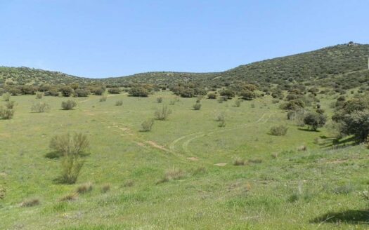 finca en venta 30 has. recreo ganadera en Ciudad Real