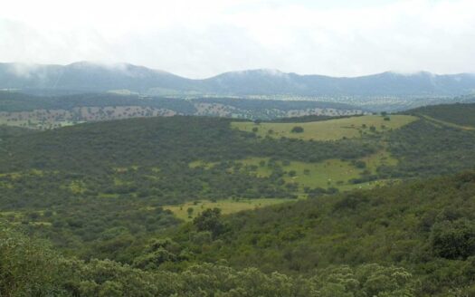 finca en venta 590 Has. ganadera caza mayor en Abenójar (C.Real)