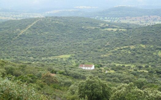 finca en venta 590 Has. ganadera caza mayor en Abenójar (C.Real)