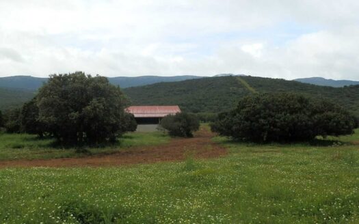 finca en venta 590 Has. ganadera caza mayor en Abenójar (C.Real)
