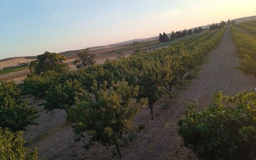 FINCA EN ALMAGRO