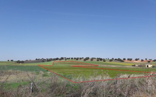 12 Has secano en Barregas (a 14 km de Salamanca)